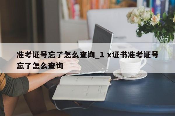 准考证号忘了怎么查询_1 x证书准考证号忘了怎么查询
