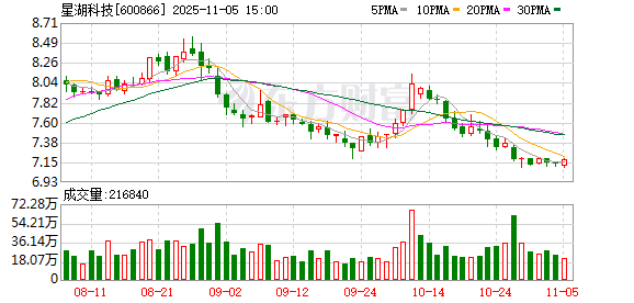 星湖科技：补选董事及专门委员会委员
