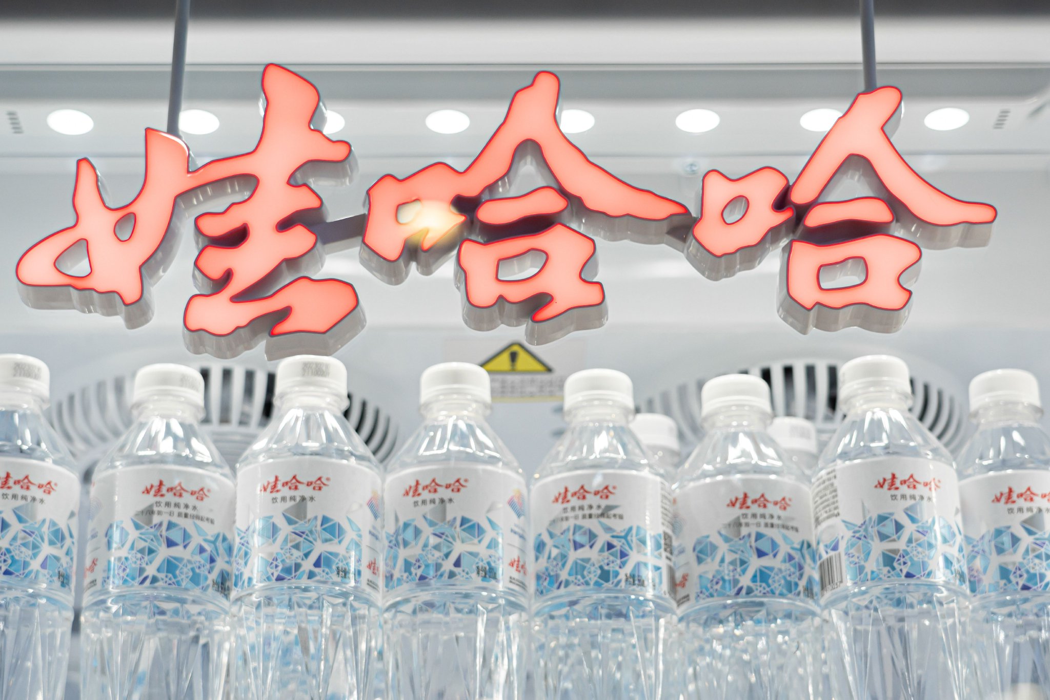 祝丽丹退出多家宏胜系公司,此前已卸任宏胜集团法定代表人