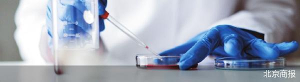 全国共享全球公开 中国药登系统上线